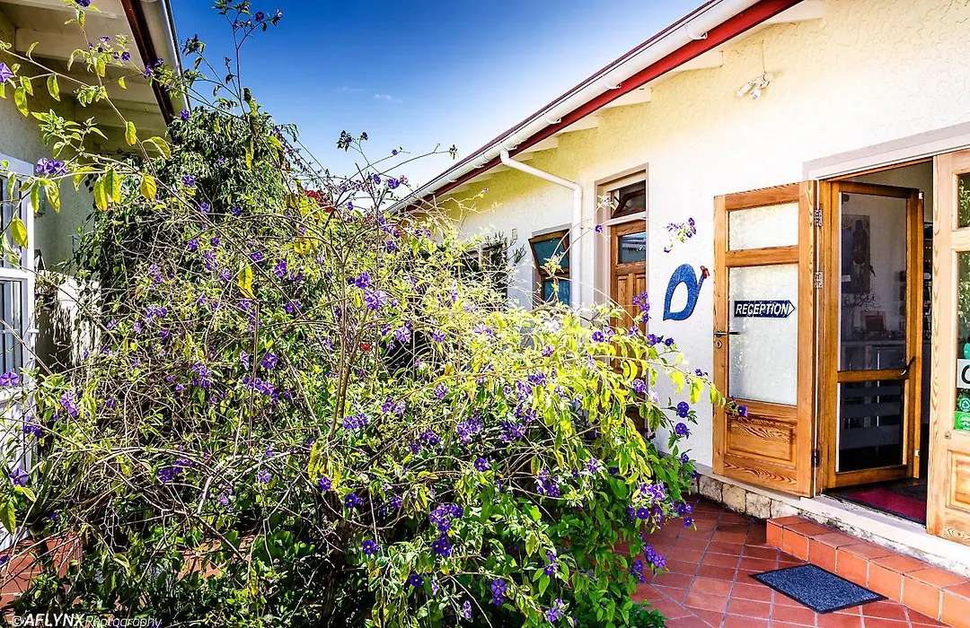 Meike'S Guesthouse-1